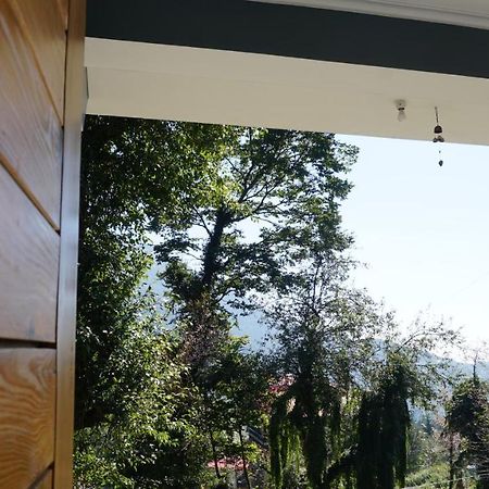 Angela'S Boutique Homes Dharamkot Dharamshala Exterior foto